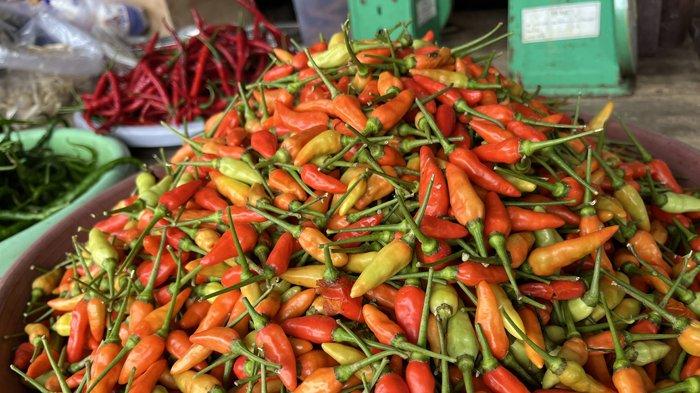 Harga cabai